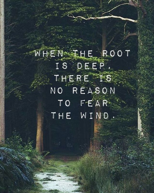 Brotherhood impressie